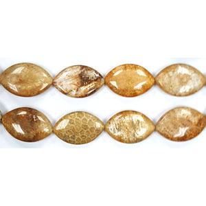 FOSSIL CORAL FLAT OVAL 20X30MM